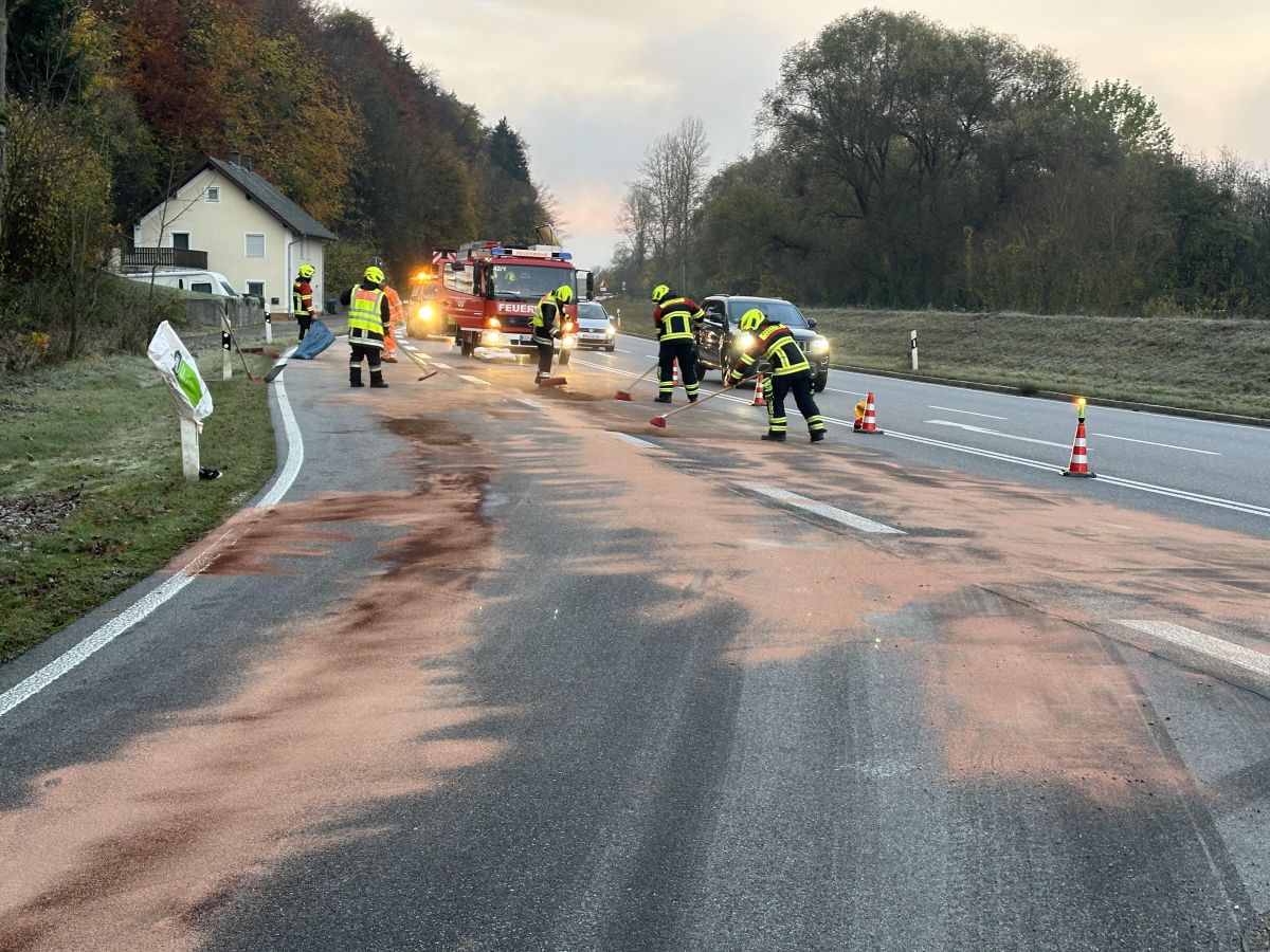 Bild-Nr. 2911 Technische Hilfeleistung